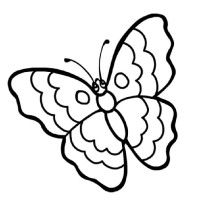 Papillon Deco