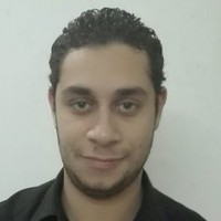 Wael Salah