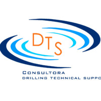 CONSULTORA DTS LTDA.
