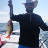 Matt Kauffman
