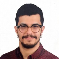 Mehmet Sinan Saricicek