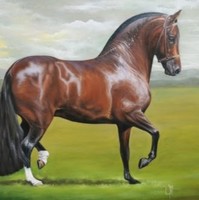 Roque Rincon