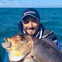 marco valerio alessandrini