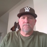 Matt Windley