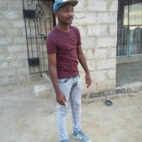 jp msibi