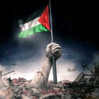 Syed Zafar Ali Shah🇵🇸