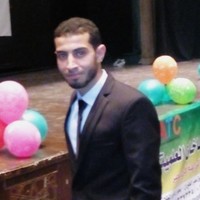 Ibrahim Nasr Mohamed