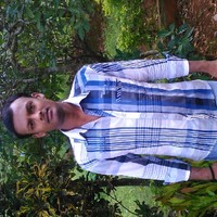 Daval tinkapur