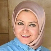 Sara Mohsen