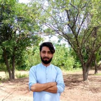 Gul nabi