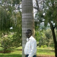 Michael Jonah Bagulaine Kaps