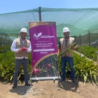 Diego Pajuelo Espino