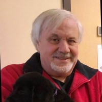 Mark Ward