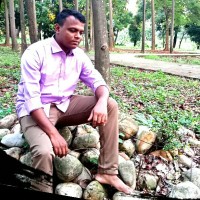 Md. Mamun Mia
