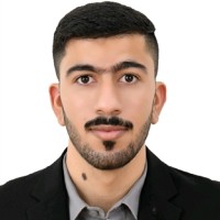 Ali Alhayki