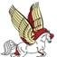 Pegasys Training