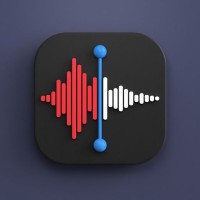 Icon Voice