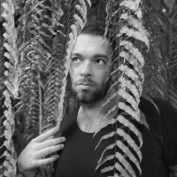 Daniel Romano