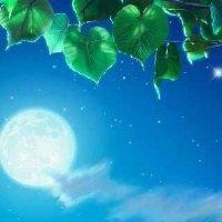 徐延昭