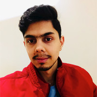 Balkrishan Singh Birdi