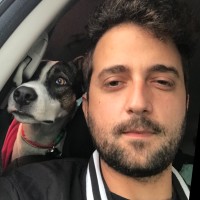 Diogo Vianna V. Araújo