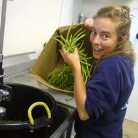 Leah Froysland