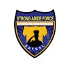STRONG ABIDE FORCE SECURITY SERVICES LIMITED