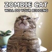 Jessica Faye Harrison