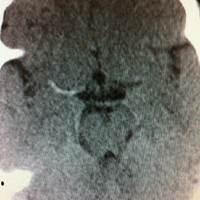 Mohammad Ghalib Khan