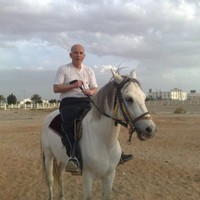 mohammad fawzy