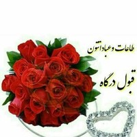 H Shahdoost