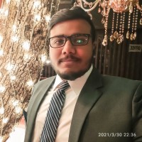 Syed Hamza Hussain