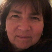 Laurie Steiner