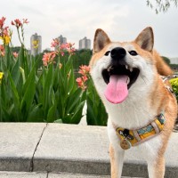 陈令龙