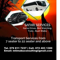 Leonard Leon Ngwenya