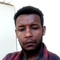 Kibrom Mulualem