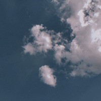 Pedro Lucas de Oliveira Carvalho Gama de Salles