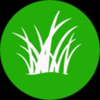 green grass
