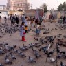 Tahseen Fatima