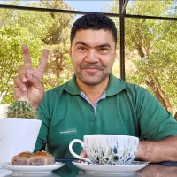 SEYED OMID ARAB