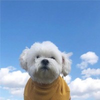 李亚敏