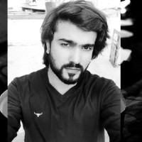 Mir Alamdar Ali Razvi