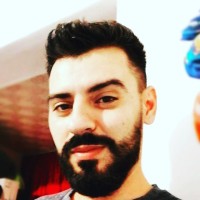 radu mitroi