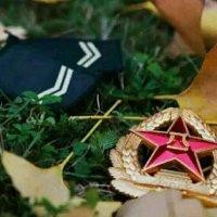 花开时