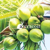 Accra Coir International