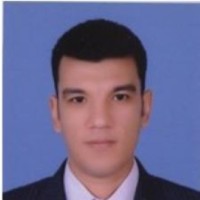 Wael Esmat