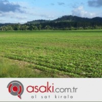 asaki com