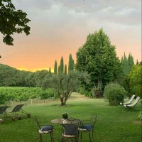 عبدالرحمن الناصر