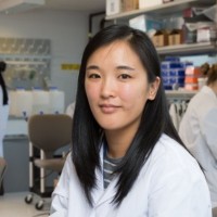 Cindy Law, Phd