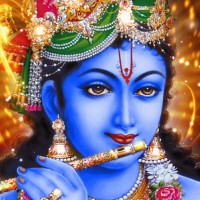 Pranav P